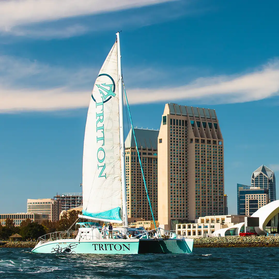 Triton under sail past the downtown San Diego skyline