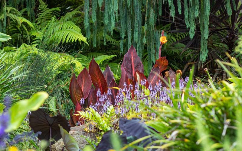 san diego botanic garden