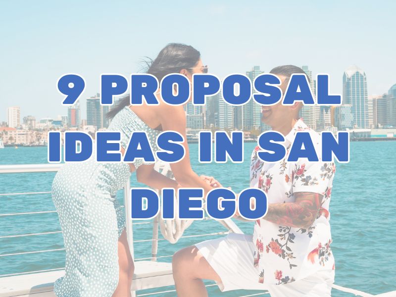 9 Proposal Ideas in San Diego | Say I do in Style