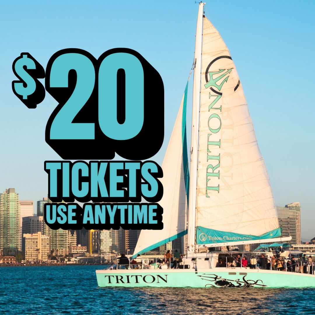 Black Friday Triton Sale 